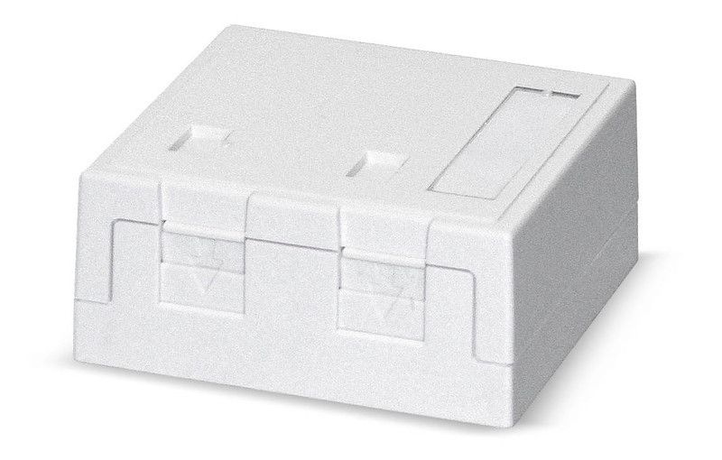 Pintarasia, 2xRJ45, Ei liit., pölys Surface mount box 2x Keystone Kuva - 2